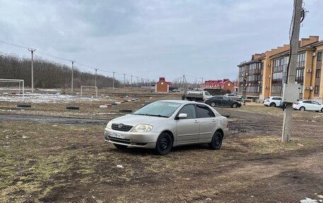 Toyota Corolla, 2002 год, 240 000 рублей, 1 фотография
