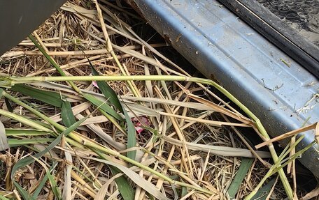 Fiat Panda II, 2007 год, 120 000 рублей, 16 фотография