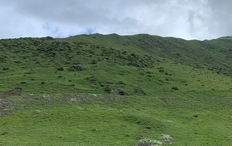 Volkswagen Transporter T3, 1981 год, 280 000 рублей, 16 фотография