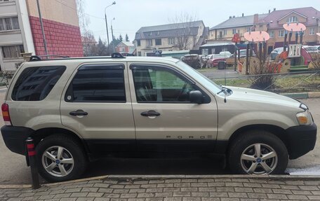 Ford Escape II, 2004 год, 650 000 рублей, 1 фотография