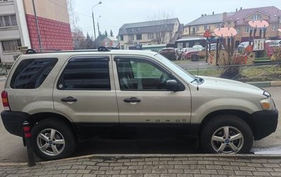 Ford Escape II, 2004 год, 650 000 рублей, 1 фотография