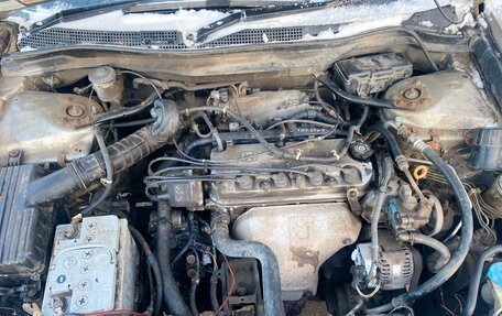 Honda Avancier I рестайлинг, 2000 год, 270 000 рублей, 10 фотография