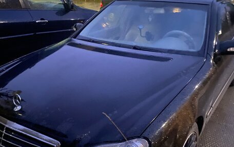 Mercedes-Benz S-Класс, 2002 год, 630 000 рублей, 4 фотография