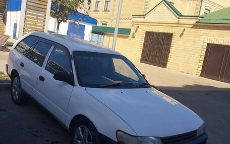 Toyota Corolla, 1998 год, 270 000 рублей, 3 фотография
