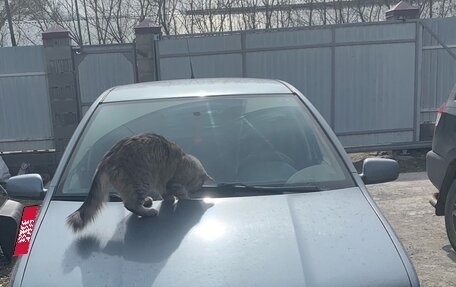 Skoda Fabia I, 2004 год, 260 000 рублей, 1 фотография