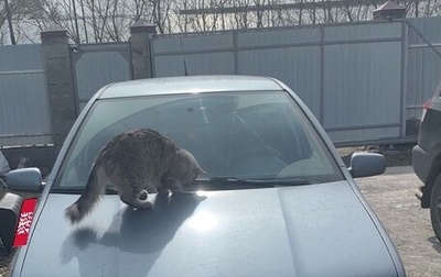 Skoda Fabia I, 2004 год, 260 000 рублей, 1 фотография