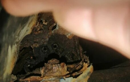 Nissan Serena I, 1994 год, 200 000 рублей, 5 фотография