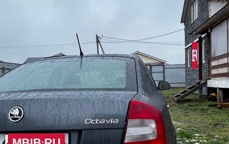 Skoda Octavia, 2011 год, 499 000 рублей, 3 фотография