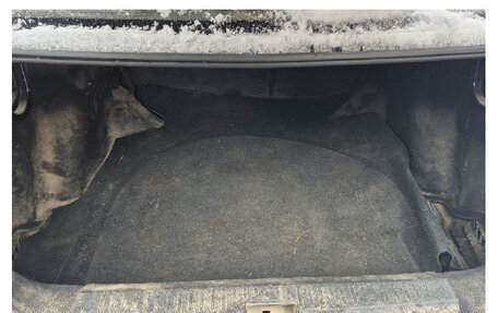 Lifan Solano II, 2018 год, 450 000 рублей, 23 фотография