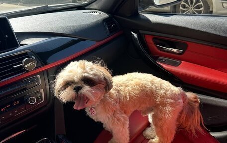 BMW 3 серия, 2012 год, 1 900 000 рублей, 6 фотография