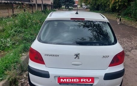 Peugeot 307 I, 2003 год, 420 000 рублей, 12 фотография