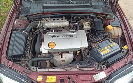 Opel Vectra B рестайлинг, 1997 год, 250 000 рублей, 11 фотография