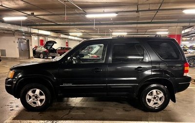 Ford Escape II, 2001 год, 315 000 рублей, 1 фотография