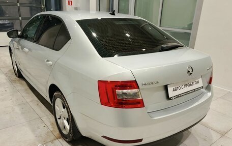 Skoda Octavia, 2019 год, 1 900 000 рублей, 15 фотография