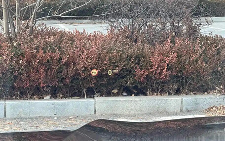 BMW X6, 2022 год, 7 200 000 рублей, 15 фотография