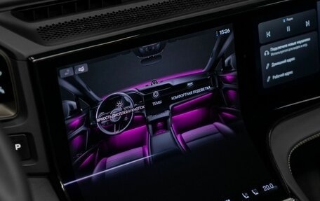 Porsche Cayenne, 2026 год, 33 000 000 рублей, 40 фотография