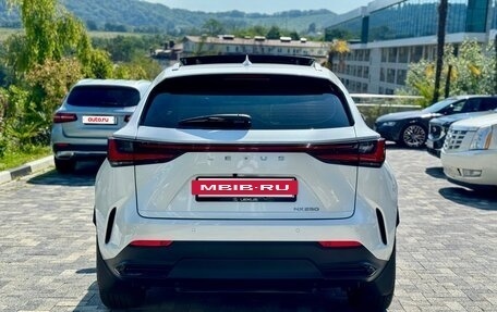 Lexus NX, 2021 год, 7 300 000 рублей, 6 фотография