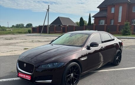 Jaguar XF II, 2019 год, 2 550 000 рублей, 1 фотография