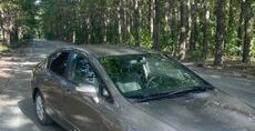 Honda Civic VIII, 2007 год, 410 000 рублей, 7 фотография