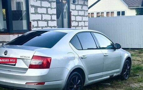 Skoda Octavia, 2015 год, 740 000 рублей, 3 фотография