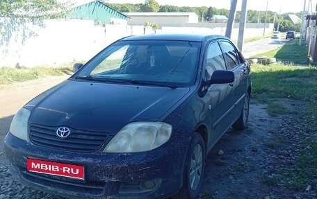 Toyota Corolla, 2004 год, 420 000 рублей, 1 фотография