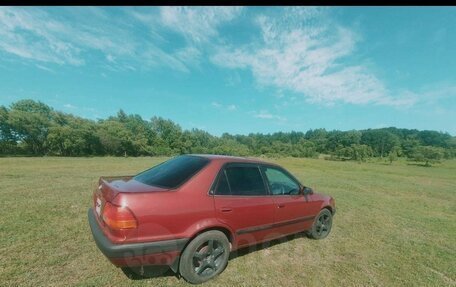 Toyota Corolla, 1995 год, 280 000 рублей, 4 фотография