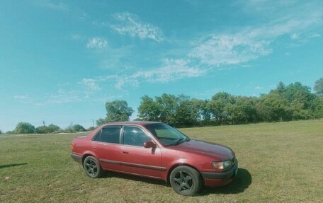 Toyota Corolla, 1995 год, 280 000 рублей, 5 фотография