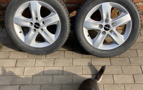 KIA cee'd I рестайлинг, 2010 год, 780 000 рублей, 9 фотография