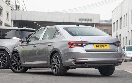 Skoda Superb III рестайлинг, 2025 год, 2 990 633 рублей, 6 фотография