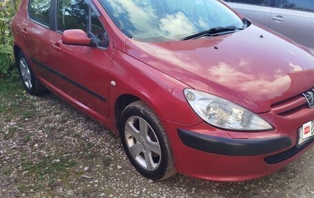 Peugeot 307 I, 2003 год, 300 000 рублей, 2 фотография