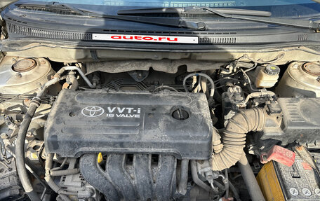 Toyota Corolla, 2004 год, 1 100 000 рублей, 24 фотография