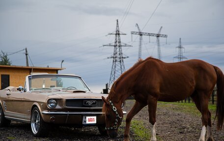 Ford Mustang VI рестайлинг, 1966 год, 12 500 000 рублей, 4 фотография