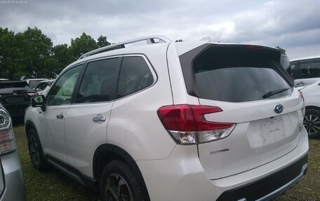 Subaru Forester, 2023 год, 3 515 355 рублей, 8 фотография