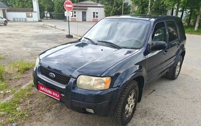 Ford Escape II, 2003 год, 350 000 рублей, 1 фотография