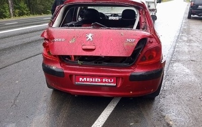 Peugeot 307 I, 2004 год, 100 000 рублей, 1 фотография