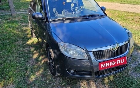 Skoda Fabia II, 2009 год, 460 000 рублей, 1 фотография
