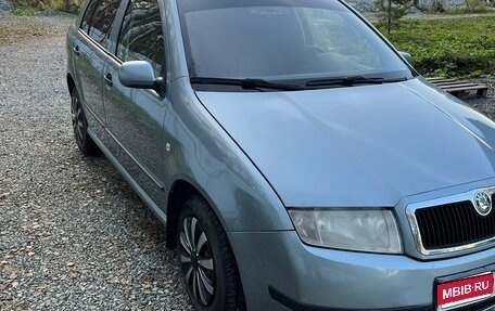 Skoda Fabia I, 2003 год, 370 000 рублей, 1 фотография