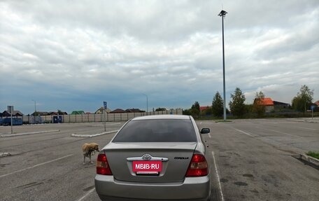 Toyota Corolla, 2001 год, 485 000 рублей, 3 фотография