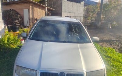 Skoda Fabia I, 2007 год, 290 000 рублей, 1 фотография