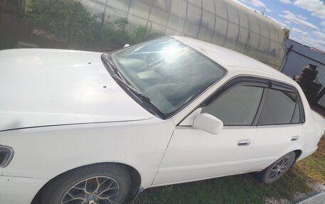 Toyota Corolla, 2000 год, 350 000 рублей, 6 фотография