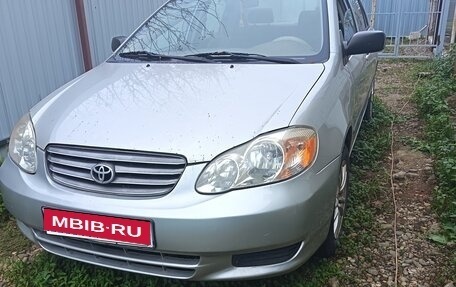 Toyota Corolla, 2003 год, 500 000 рублей, 1 фотография