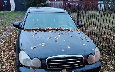 Hyundai Sonata IV рестайлинг, 2006 год, 240 000 рублей, 1 фотография