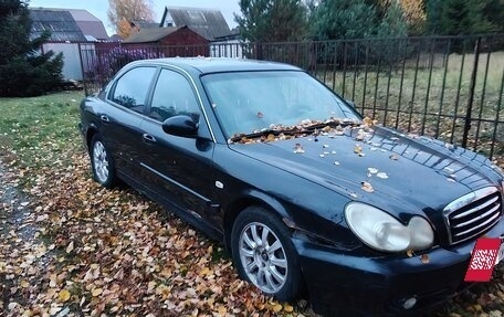 Hyundai Sonata IV рестайлинг, 2006 год, 240 000 рублей, 3 фотография
