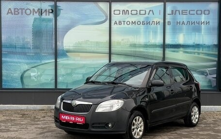 Skoda Fabia II, 2009 год, 424 000 рублей, 1 фотография