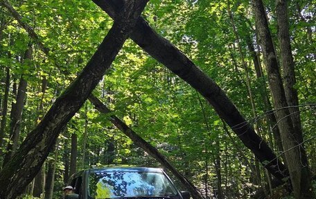 Land Rover Discovery III, 2006 год, 1 050 000 рублей, 16 фотография