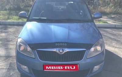 Skoda Fabia II, 2013 год, 590 000 рублей, 1 фотография