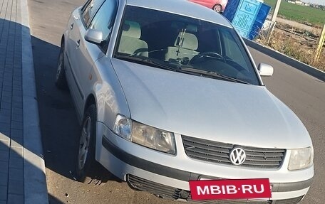 Volkswagen Passat B5+ рестайлинг, 1998 год, 390 000 рублей, 4 фотография