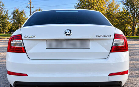 Skoda Octavia, 2014 год, 1 200 000 рублей, 3 фотография