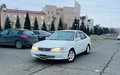 Toyota Corolla, 1998 год, 399 000 рублей, 1 фотография